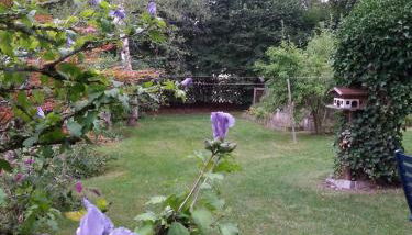 Ferienhaus Kraihof, Münchner Straße 234 - Foto 4, Garden