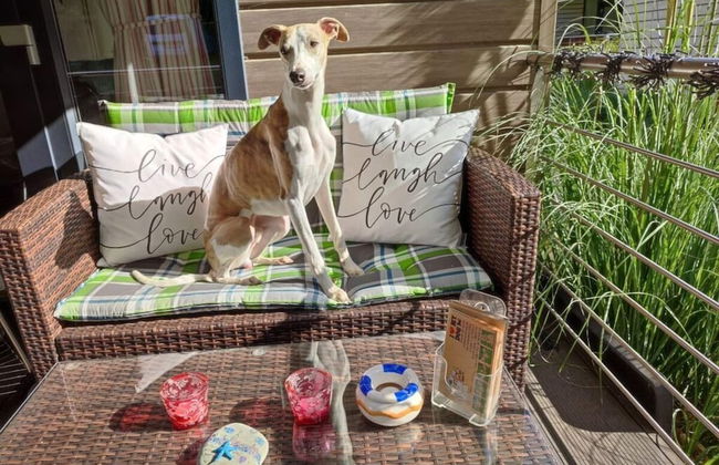 Chrissi's Baltic Sea Nest - Foto 29