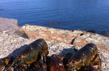 SPECTACULAR OCEANFRONT ON BOSTONs SCENIC NORTH SHORE - Foto 31