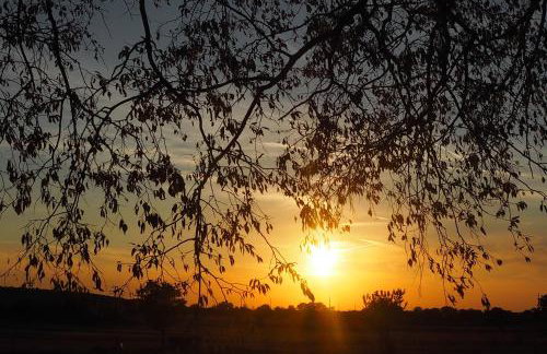 Family friendly holiday home "Ana" with heated pool - Foto 41