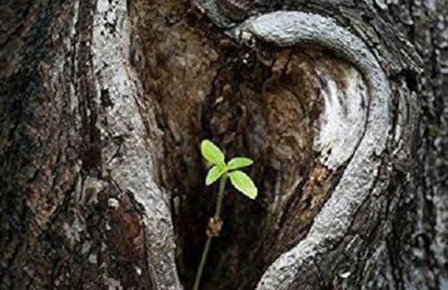 Freistehendes Haus im Nationalpark Gemünd mit E-bike Option! - Foto 53