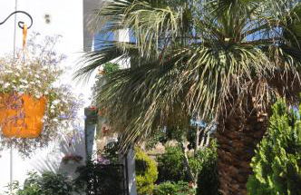 Korfes Apartments - Foto 1