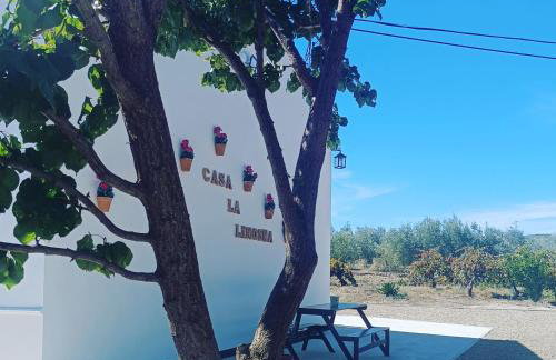 Casa la limosna - Photo 4