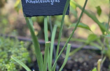 Luxus Studio 10 Min zur Porta Nigra inkl Parkplatz - Foto 60