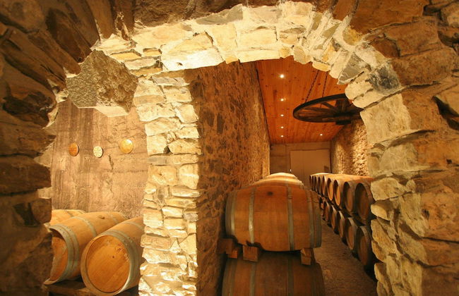 Le Gîte Vigneron - Foto 29