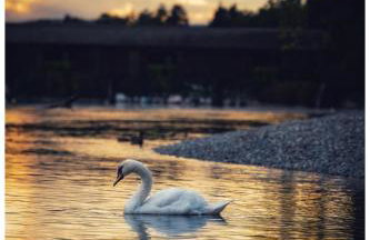 Secret Garden - Foto 67