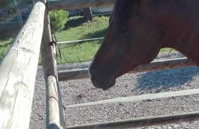 Masseria Sucéa - Foto 36