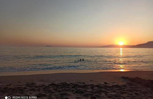 Cactus Home - Foto 40