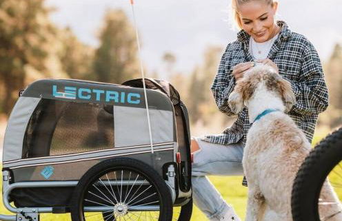 Jude's Respite - Foto 24