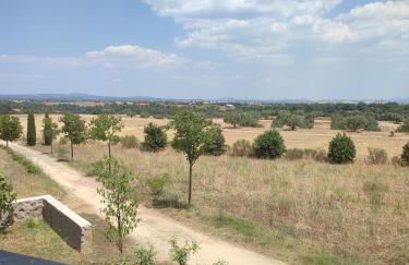 Agriturismo Tenuta La Castelluzza - Foto 7