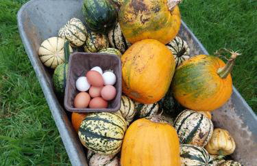The Hive - Unique log cabin with wood burning stove - Foto 39