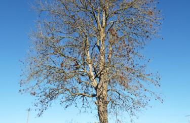 Knockalla luxury property with hot tub suitable for families - Foto 38