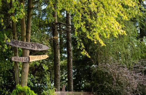 Agroturystyka u Julii - Foto 9