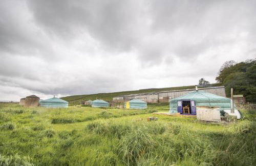 Kestrel Yurt - Foto 23