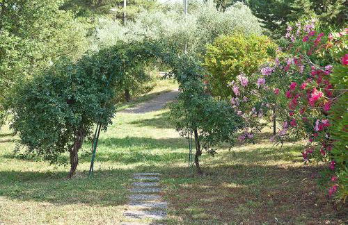 Podere l'Ulivo - Foto 19