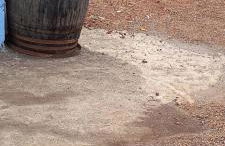 Casa Nieves de Mario - Foto 42