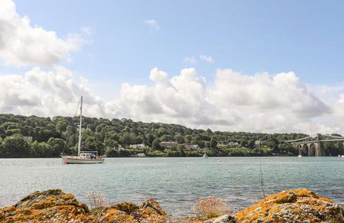 Ynys Faelog Cottage - Photo 37