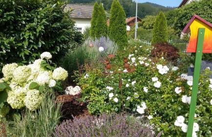 Landhaus Simon - Foto 54