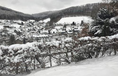 Ferienwohnung Wilmes - Photo 6