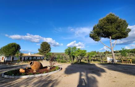 Agroturismo Viña Inés Toledo - Photo 50