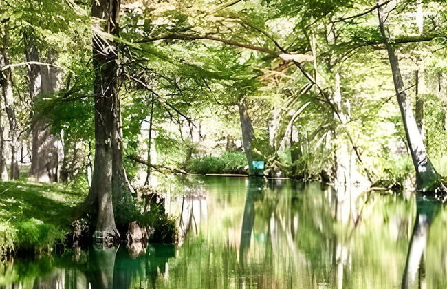 Family/event Retreat Sleeps 28 Amenities Galore - Foto 77