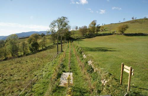 Can Pletis - Foto 44