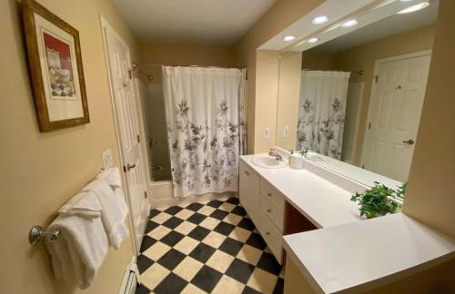 FV50 Pet friendly single level home in Bretton Woods walk to golf course and Mt Washington Hotel - Foto 18