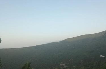 Άγρια Λούλουδα Κατοικία Ευτυχία - Photo 70