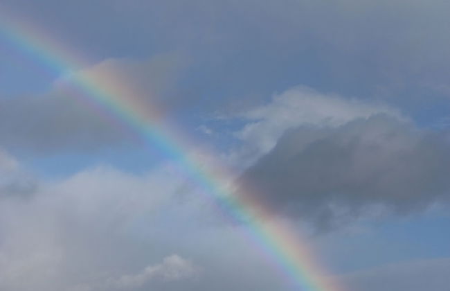 Yewtree Cottage -the Art House - Foto 25