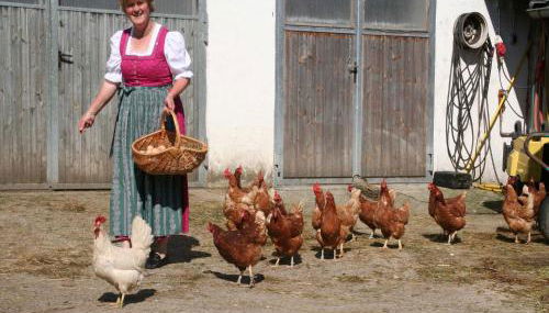 Kirmeier Hof - Foto 3