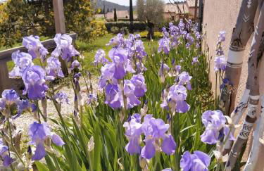 La Bohème - Foto 38