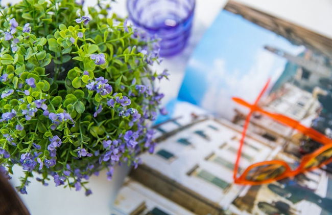 Apartment 3 Beaches With Free Parking - Photo 37