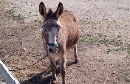 Casa Bozzero - Photo 72