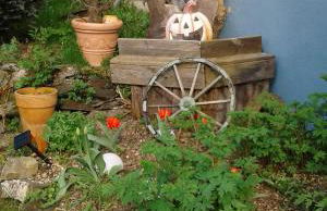 Bubi Niedlich - Foto 27