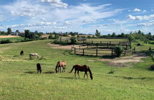Toskania Kociewska - Photo 10