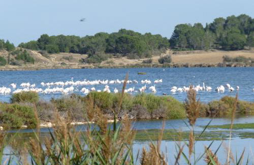 appartement de la callade - Foto 16