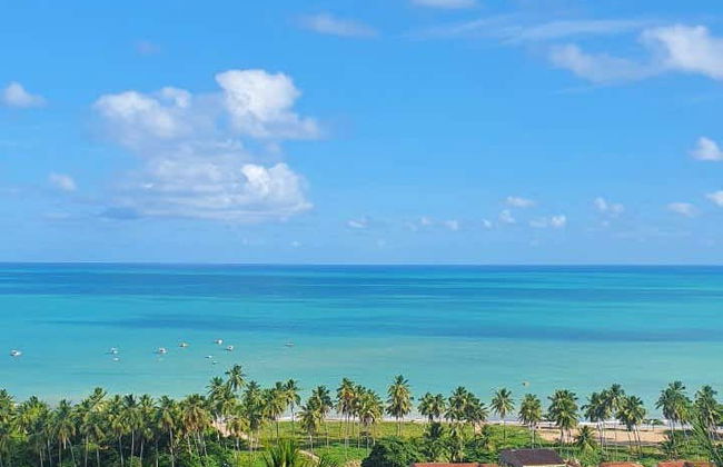 Tour en buggy por Maragogi y São Miguel dos Milagres - Foto 3