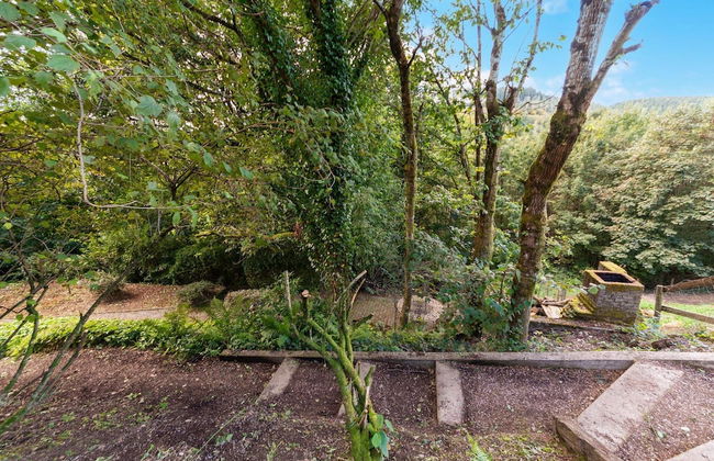 Forest-edge Hideaway, Bouillon - Photo 32