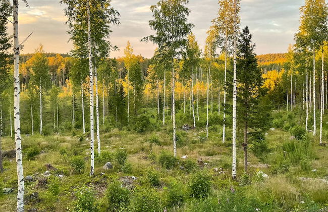 Bear Centre - Foto 9