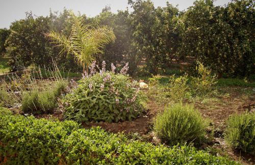 Il Giardino del sole - Foto 136