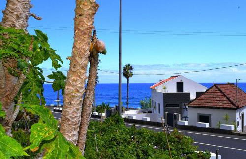 Lazy Lizard by the Ocean - Foto 11