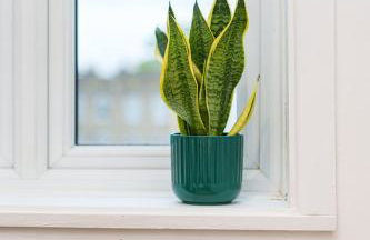 Stylish and Spacious Peckham Flat - Photo 7