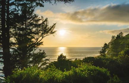 The Purcell House by Avantstay Surrounded in Lush Greenery w/ Large Yard & Ocean Views - Foto 96