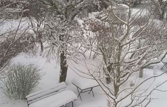 Apartment at the Knappensee in Gross Sarchen - Foto 25