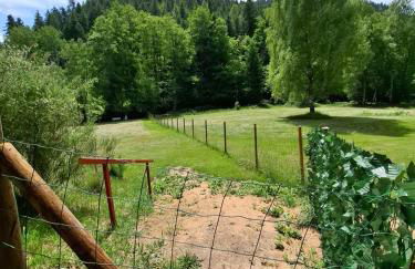 Ferienhaus du Bourguignon, Lorraine - Foto 55