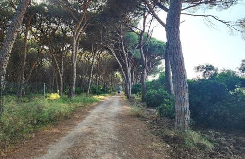 Casa Fiordaliso - Foto 2