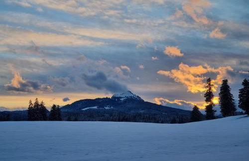 Wertacher Hörnleblick - Photo 23