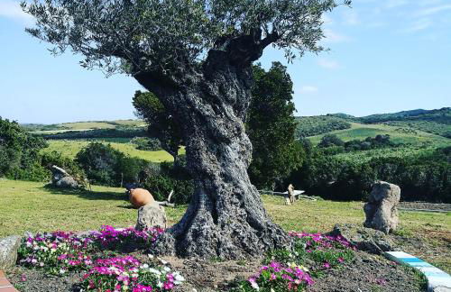 Country House Vignola Mare - Photo 56