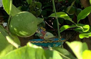 Casa Vacanze Astori - Foto 27