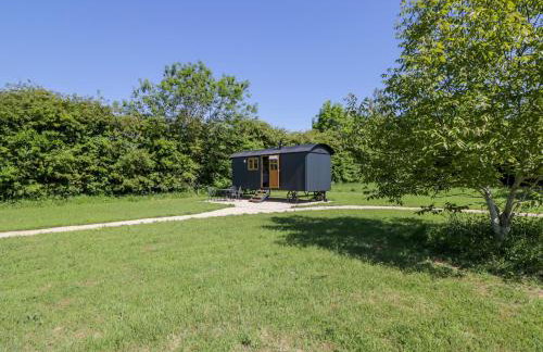 Blackthorn - Photo 17